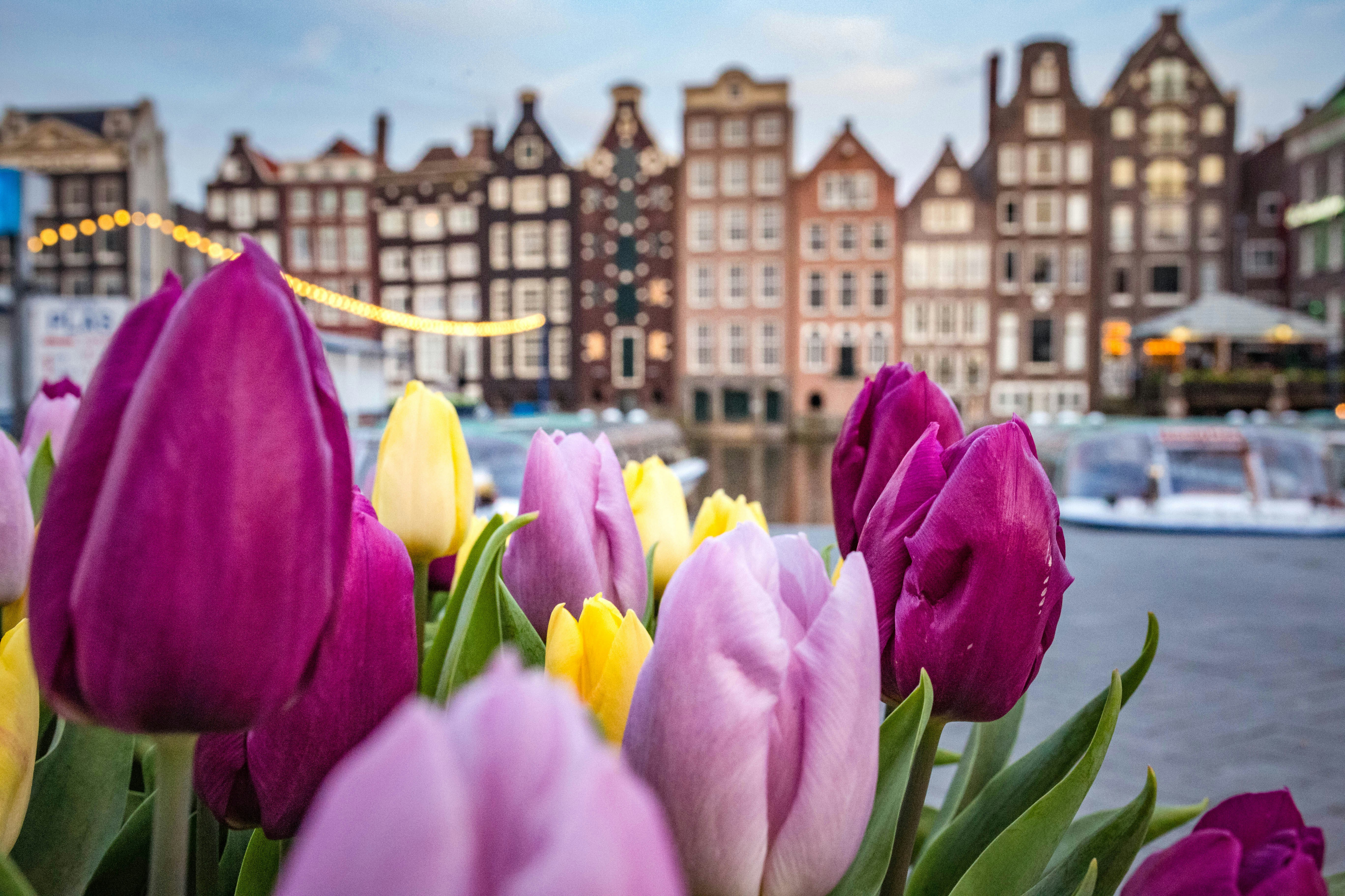 Netherlands VPN background